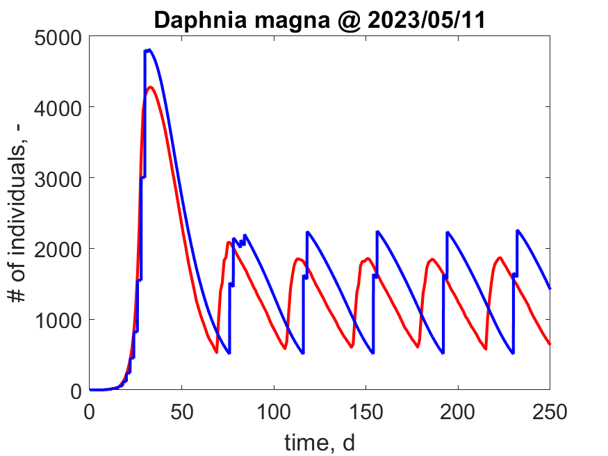 Population trajectories in a generalized reactor as avaluated with EBT (blue) and IBM (red) with the AmP parameters